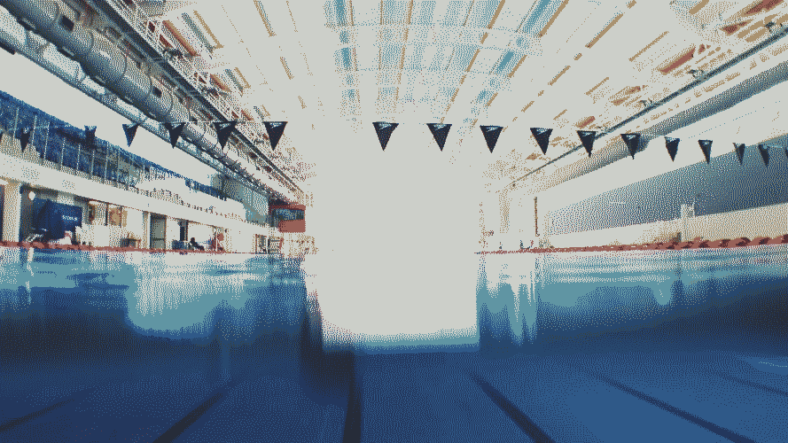 Rice swimming, college sports