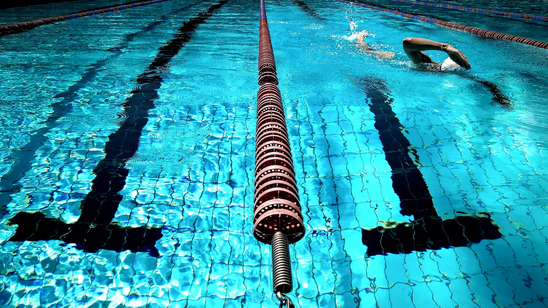 Rice swimming