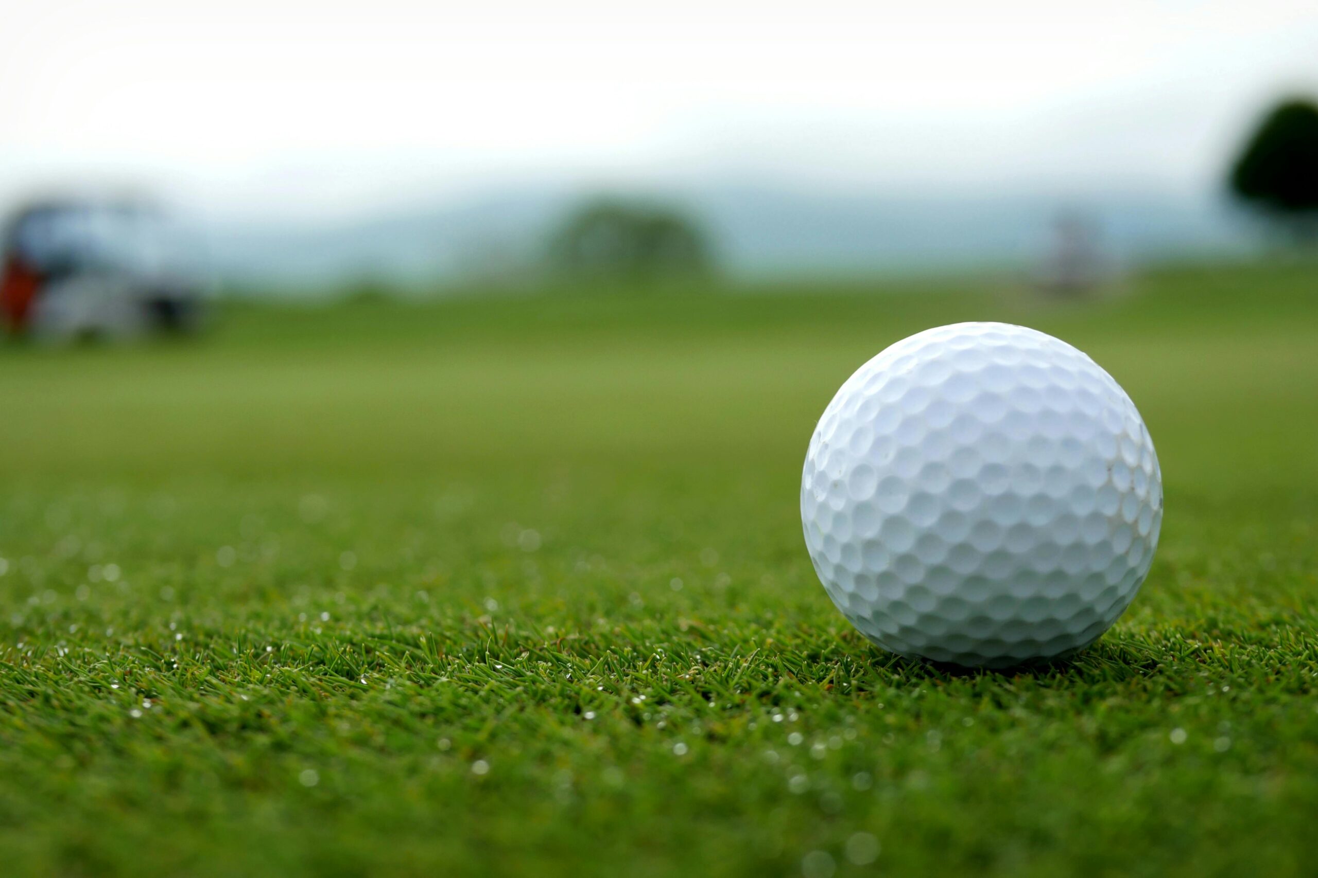 Rice Athletics to add Women's Golf