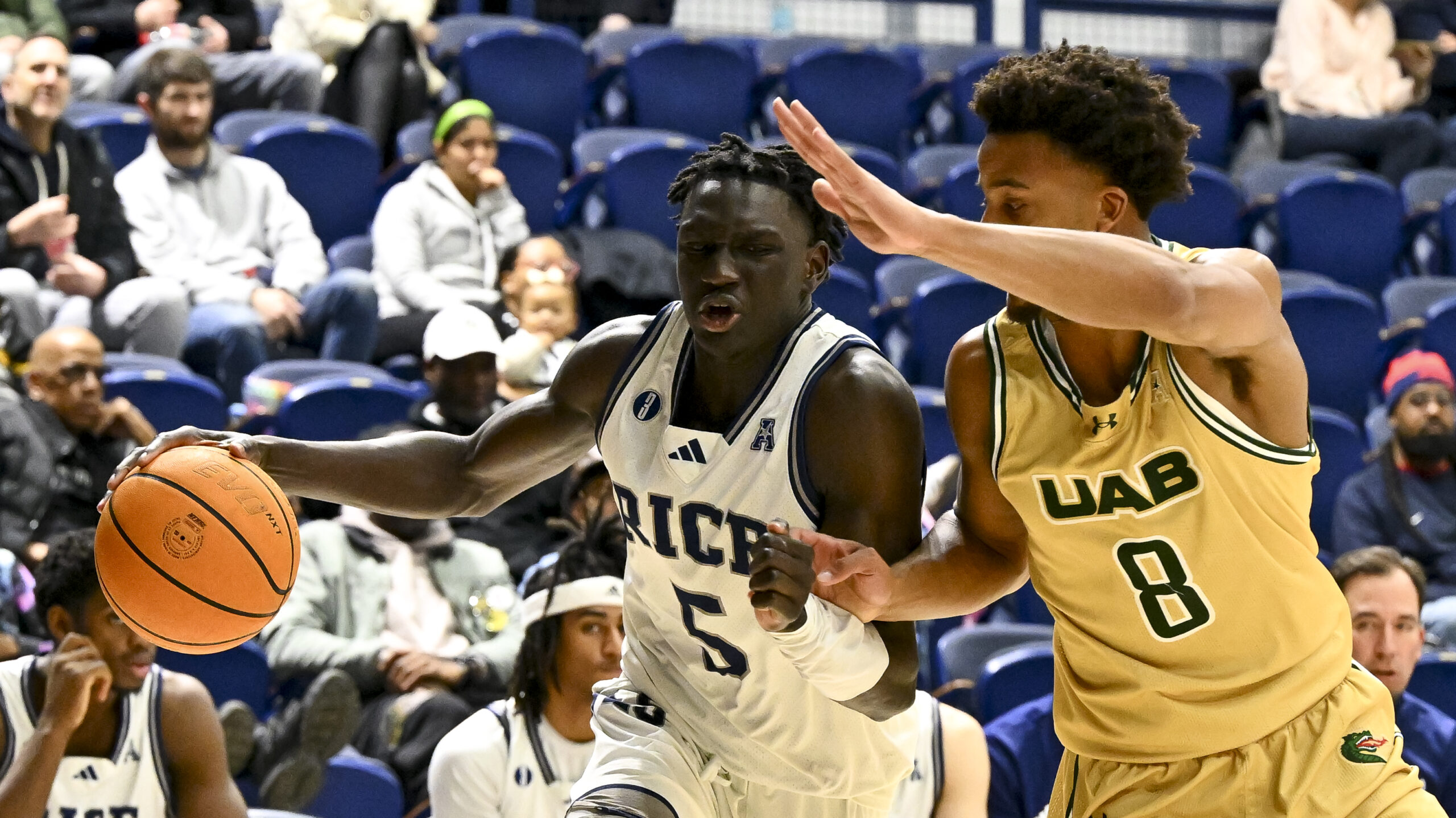 Rice Basketball, Jacob Dar