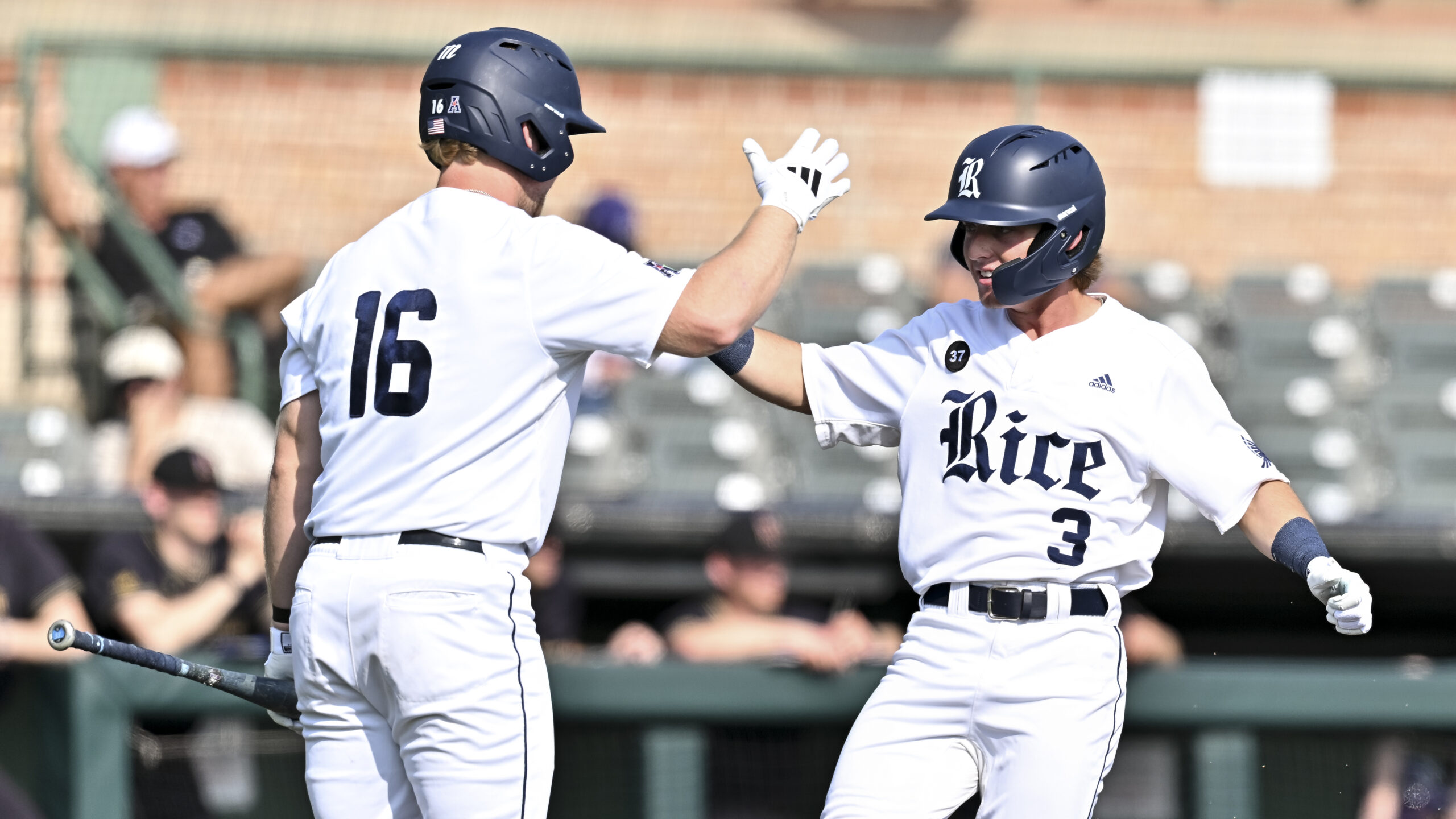 Rice Baseball